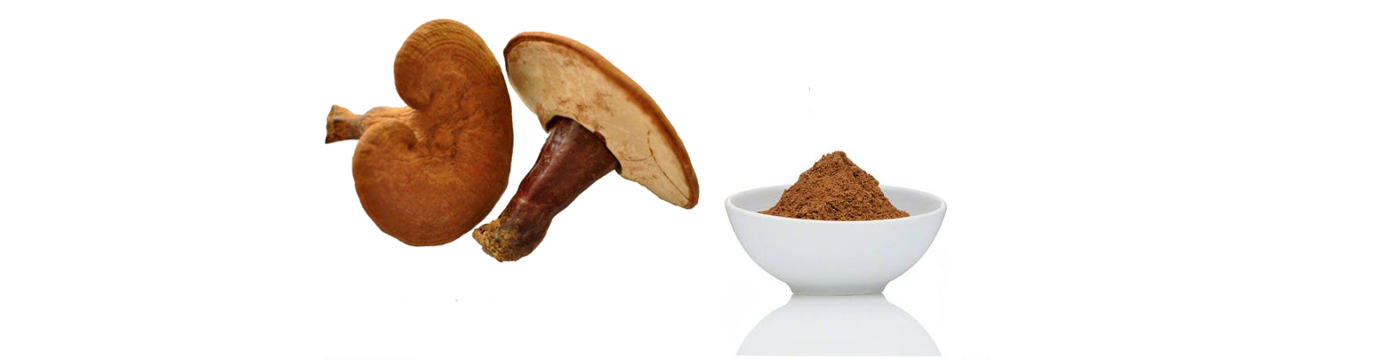 reishi mushroom extract beta glucan.png