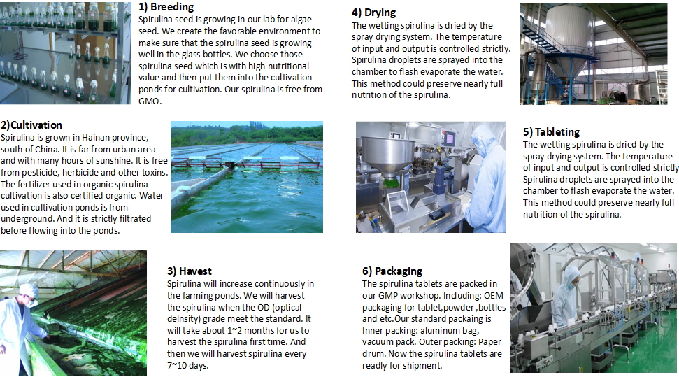 flow chart of spirulina.png