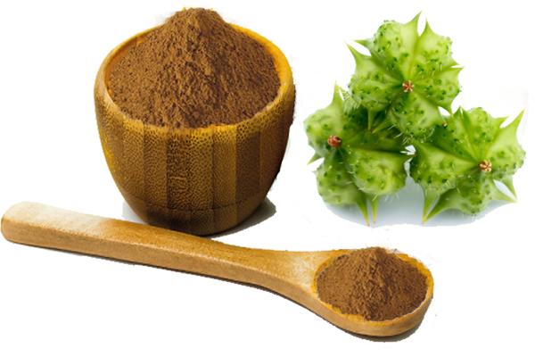 Tribulus Terrestris Extract.png