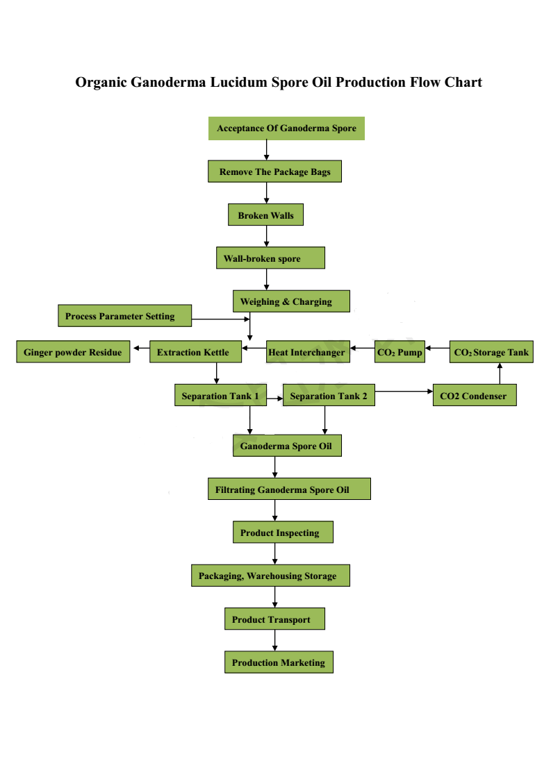 flow chart of ganoderma lucidum spore oil