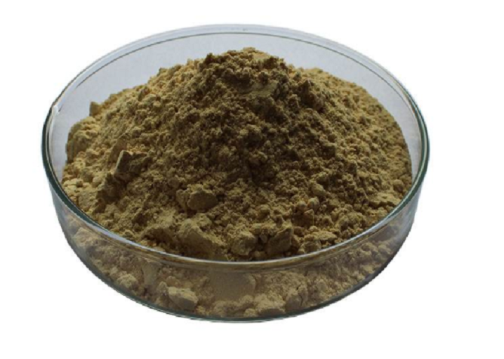 Horny Goat Weed Extract Icariin 60 Icariin 98