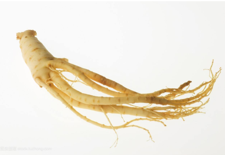 Various Benefits of Ginseng